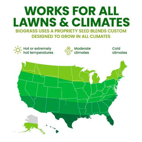 🏆Official Store | 🌟 Give your lawn a new look 🌟AEXZR® Compostable Lawn Grow Mat 🔥Hot Sale - 50% OFF🌿