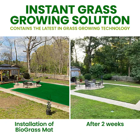 🏆Official Store | 🌟 Give your lawn a new look 🌟AEXZR® Compostable Lawn Grow Mat 🔥Hot Sale - 50% OFF🌿