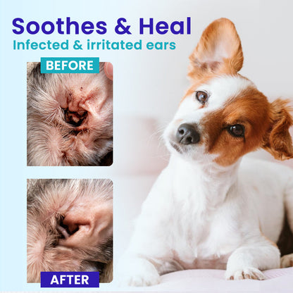 ✨ Summer Discounted Price 50% OFF | Daily Ear Care Made Simple for Pets | RZXEA™ Pet EarPro Drops FM+