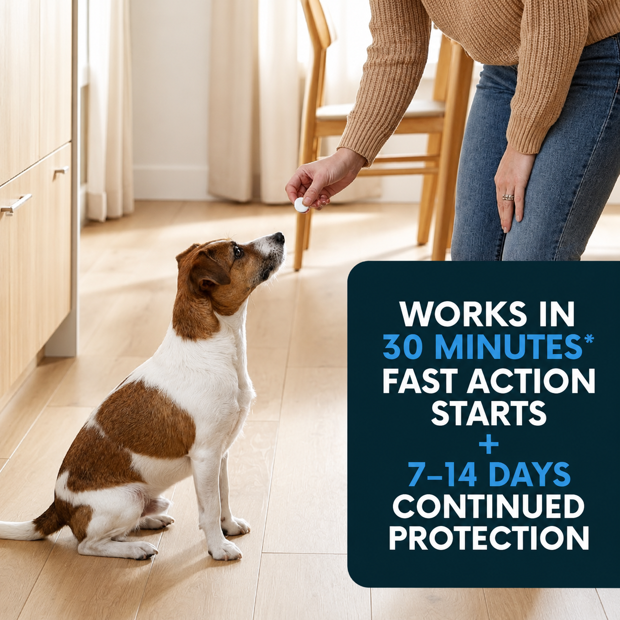 ✨Sale up to 70% OFF Prevents Tick & Flea | RZXEA™ FleaStrike