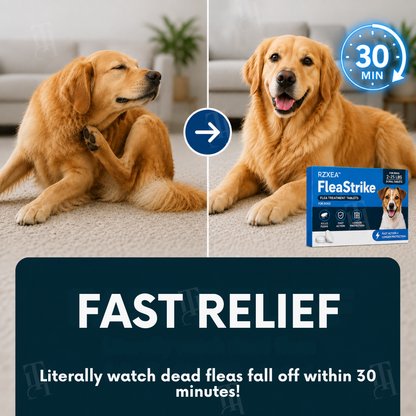 ✨Sale up to 70% OFF Prevents Tick & Flea | RZXEA™ FleaStrike