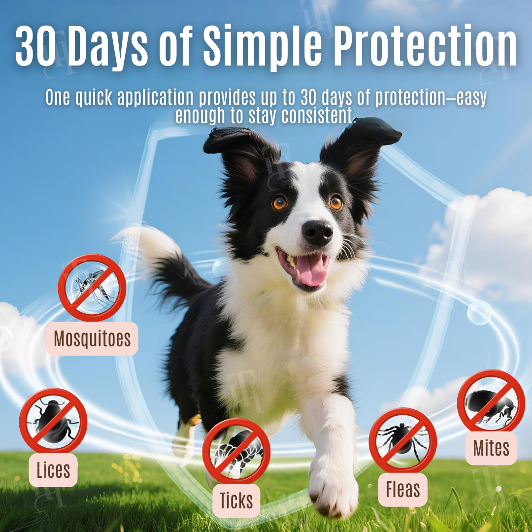 ✨Spring Sale up to 70% OFF Prevents Tick & Flea | RZXEA™ 30-Day Flea & Tick Protection Drops