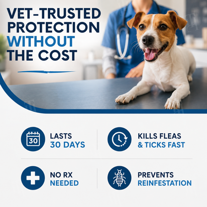 ✨Sale up to 70% OFF Prevents Tick & Flea | RZXEA™ FleaStrike