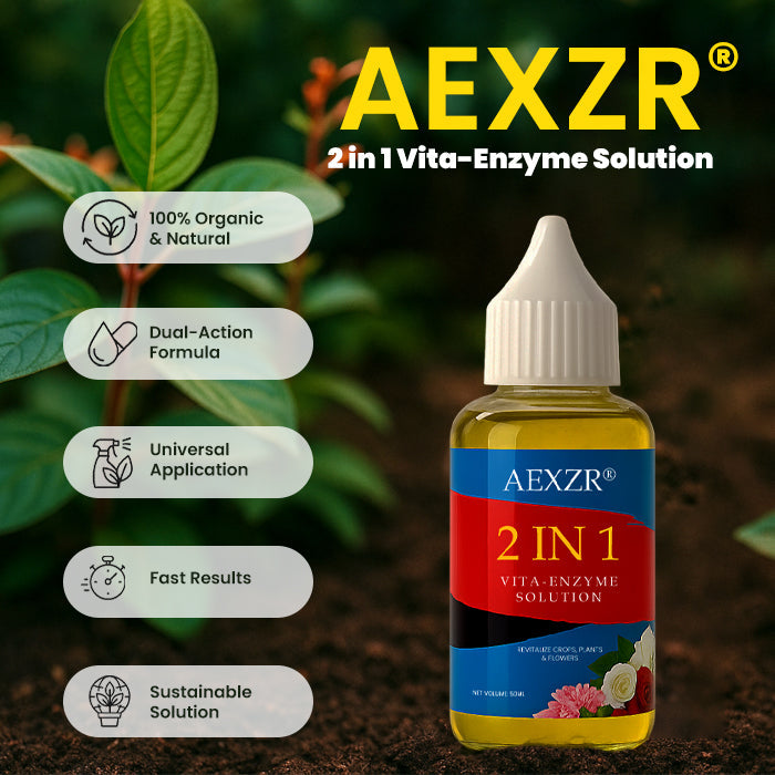 🔥DISCOUNTED LOWEST PRICE - 50% OFF - AEXZR® 2 in 1 Vita-Enzyme Solution