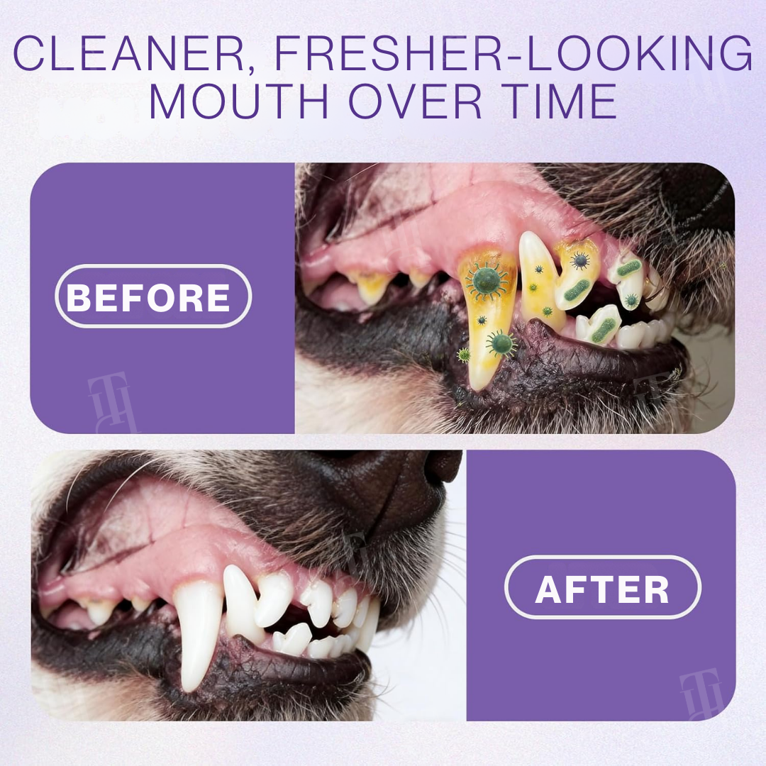 ✨Spring Sale up to 70% OFF Prevents Avoid Bad Breaths for your Pets | RZXEA™ Pet Zinc-Gluconate Oral Spray