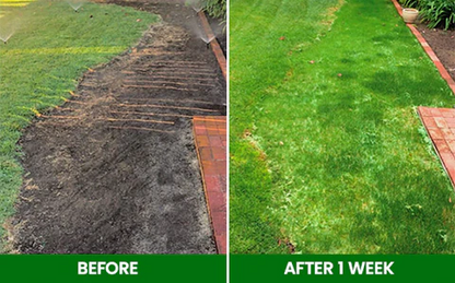 🏆Official Store | 🌟 Give your lawn a new look 🌟AEXZR®  Compostable Lawn Grow Mat 🔥Hot Sale - 50% OFF🌿
