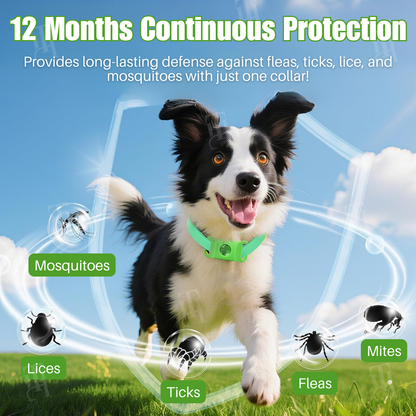 ✨Spring Sale up to 70% OFF Prevents Tick & Flea | RZXEA™ Pet 12 Months Prevention Collar