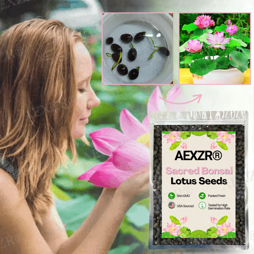 🌟 Official Store |🔥Hot Sale - 50% OFF🌿AEXZR® Sacred Bonsai Lotus Seeds