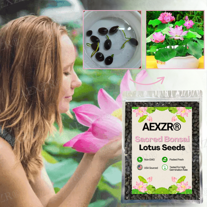 🌟 Official Store |🔥Hot Sale - 50% OFF🌿AEXZR® Sacred Bonsai Lotus Seeds