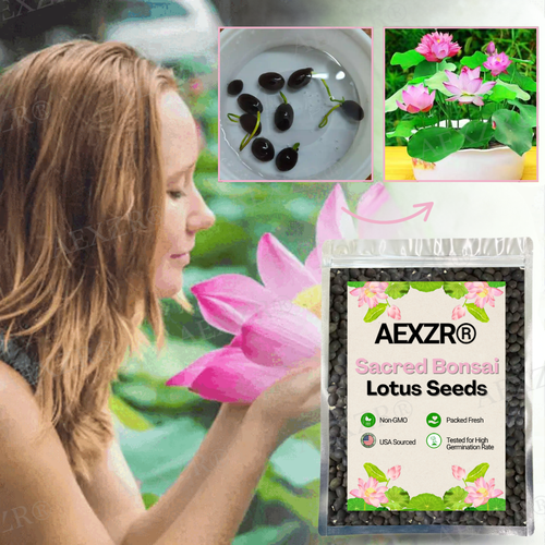 🌟 Official Store |🔥Hot Sale - 50% OFF🌿AEXZR® Sacred Bonsai Lotus Seeds