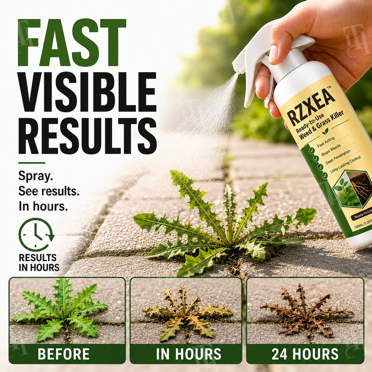 🔥FALL LOWEST PRICE - 50% OFF | RZXEA™ Ready-to-Use Weed & Grass Killer