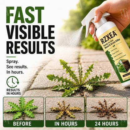 🔥FALL LOWEST PRICE - 50% OFF | RZXEA™ Ready-to-Use Weed & Grass Killer