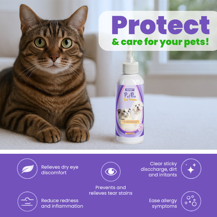 🔥SUMMER LOWEST PRICE - 50% OFF | RZXEA™ PetPro Eye Drops