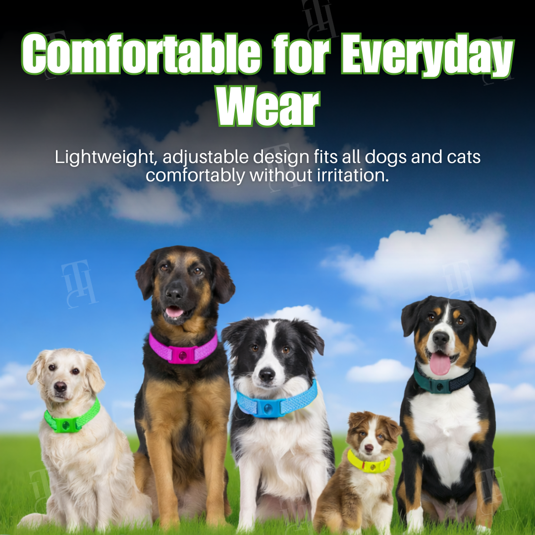 ✨Spring Sale up to 70% OFF Prevents Tick & Flea | RZXEA™ Pet 12 Months Prevention Collar