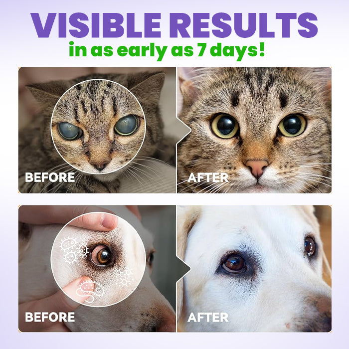 🔥SUMMER LOWEST PRICE - 50% OFF | RZXEA™ PetPro Eye Drops