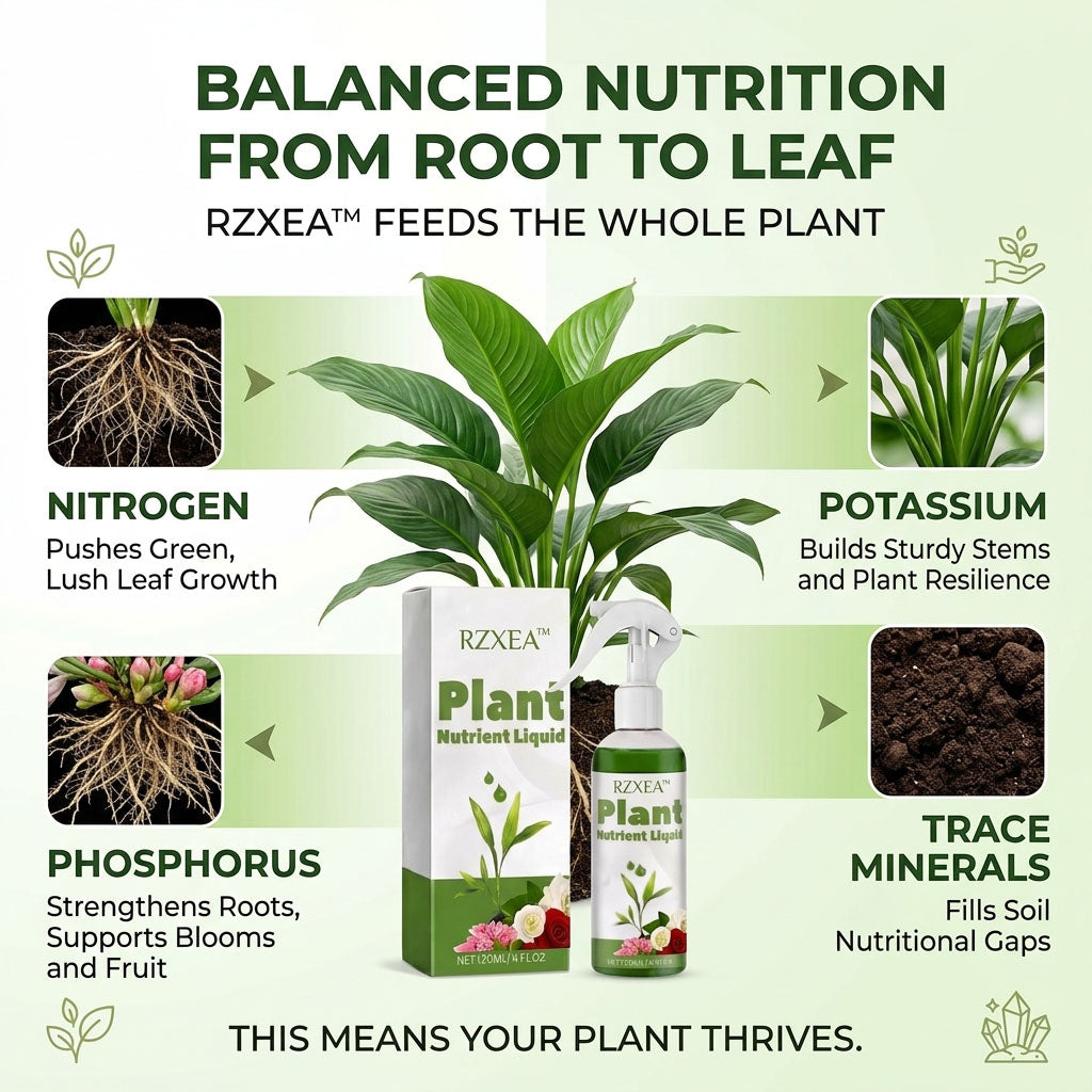🔥LOWEST PRICE - 50% OFF | RZXEA™ Ready-to-Use Plant Nutrient Solution