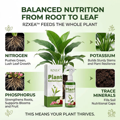 🔥LOWEST PRICE - 50% OFF | RZXEA™ Ready-to-Use Plant Nutrient Solution